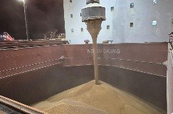 Carregamento de grãos em navio